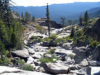 The creek, above the falls