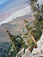 High above Chino Canyon