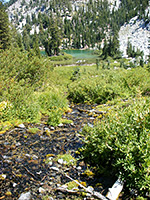 Stream above Cliff Lake