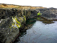 Moss on black cliffs