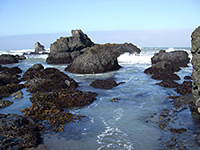 Pools and rocks