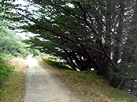The Coastal Trail