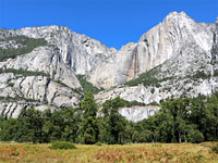Cook's Meadow Loop