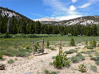 Fence near the camp