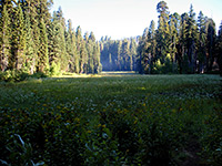 Crescent Meadow and Log Meadow