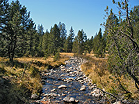 Stream through Dana Meadows