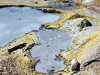 Acidic pools