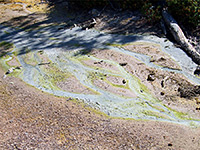 Stream with yellow algae