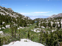 Meadows south of Dingleberry Lake