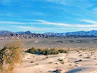 The Mesquite Flat dunes