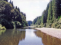 South Fork of the Eel River