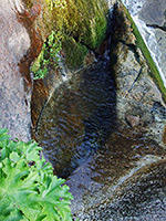 Pool below Ella Falls