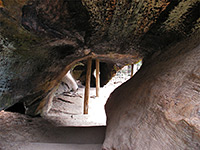 Hollow trunk of the Fallen Monarch