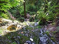 Boy Scout Tree Trail