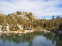 Rocks and trees