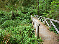 Footbridge over Ossagon Creek