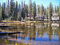 Reflective pond on the Forsyth Trail