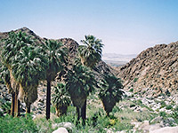 View down the canyon