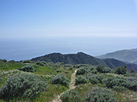 The trail - view southwest