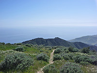 Trail near Gaviota Peak