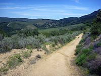 Trespass Trail