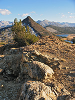 Ridge above the Gaylor Lakes