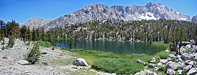 Grass beside Gilbert Lake