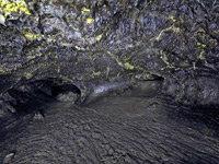 Golden Dome Cave