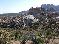 Rocks at Granite Pass