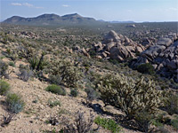 Granite Pass; view south