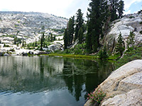 Trees and granite