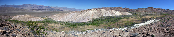 Bush-filled valley