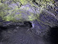 Green-roofed cave