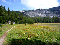 Trail by Halfmoon Meadow