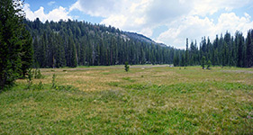 Halfmoon Meadow