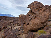 Boulder and rabbitbrush