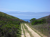 Trail to the coast