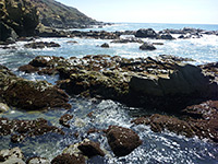 Tide pools