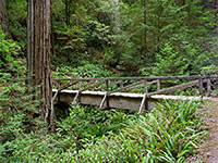 Bridge over a ravine