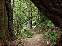 Hatton Trail