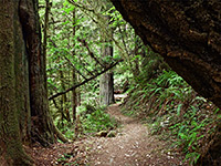 Hatton Trail