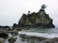 photograph