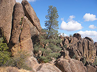 Volcanic boulders