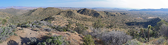 Joshua Tree National Park