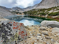 Lichen