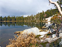 Boulders and trees