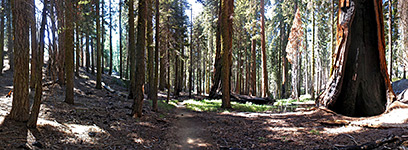 Sequoia National Park