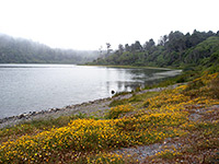 Freshwater Lagoon