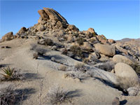 Rocks near the trailhead