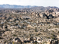 View of the Jumbo Rocks campground